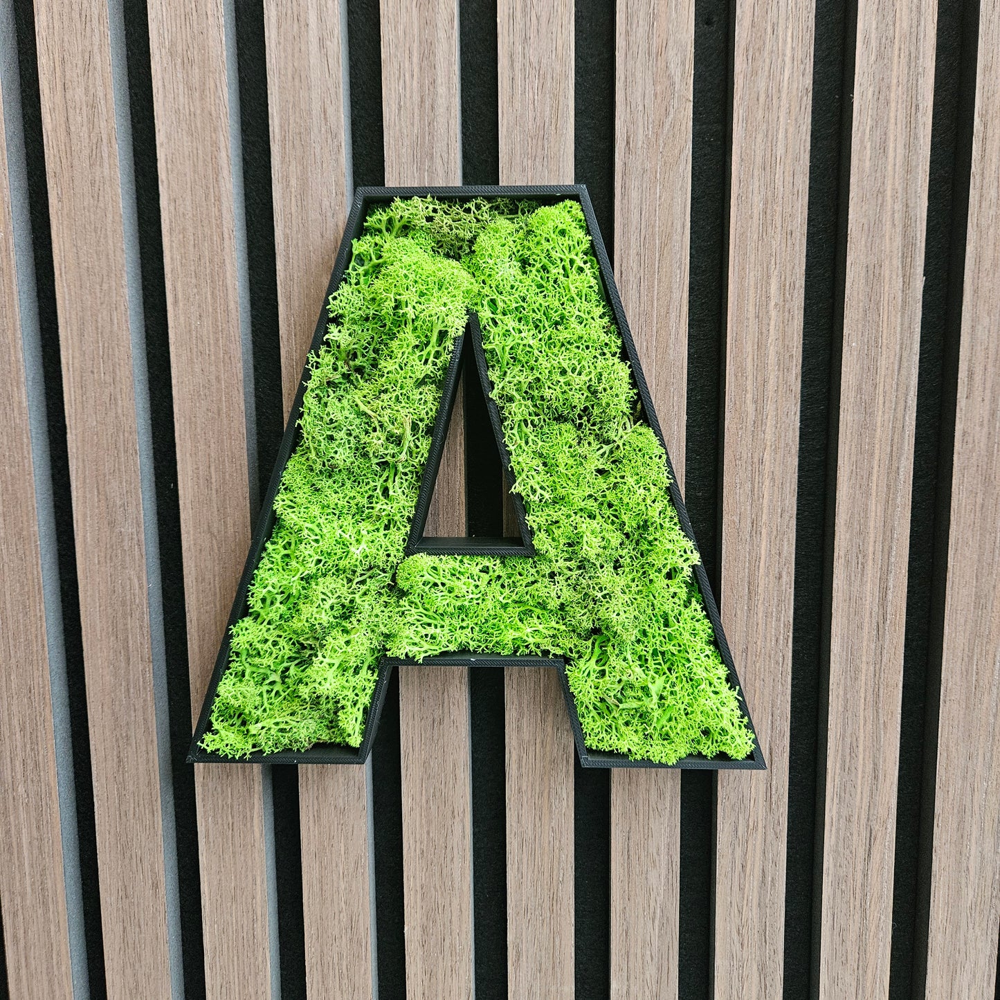 Moos Buchstabe A-Z Piktogramm Islandmoos