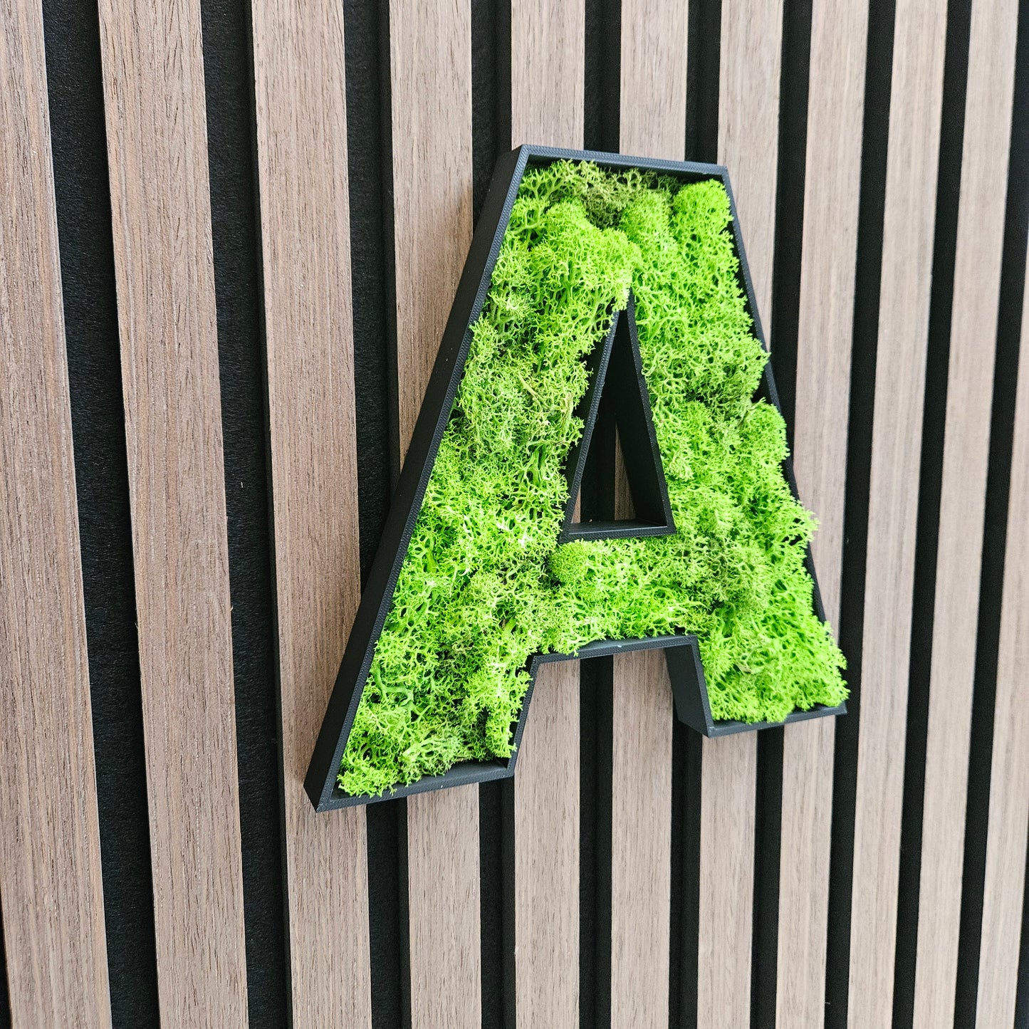 Moos Buchstabe A-Z Piktogramm Islandmoos