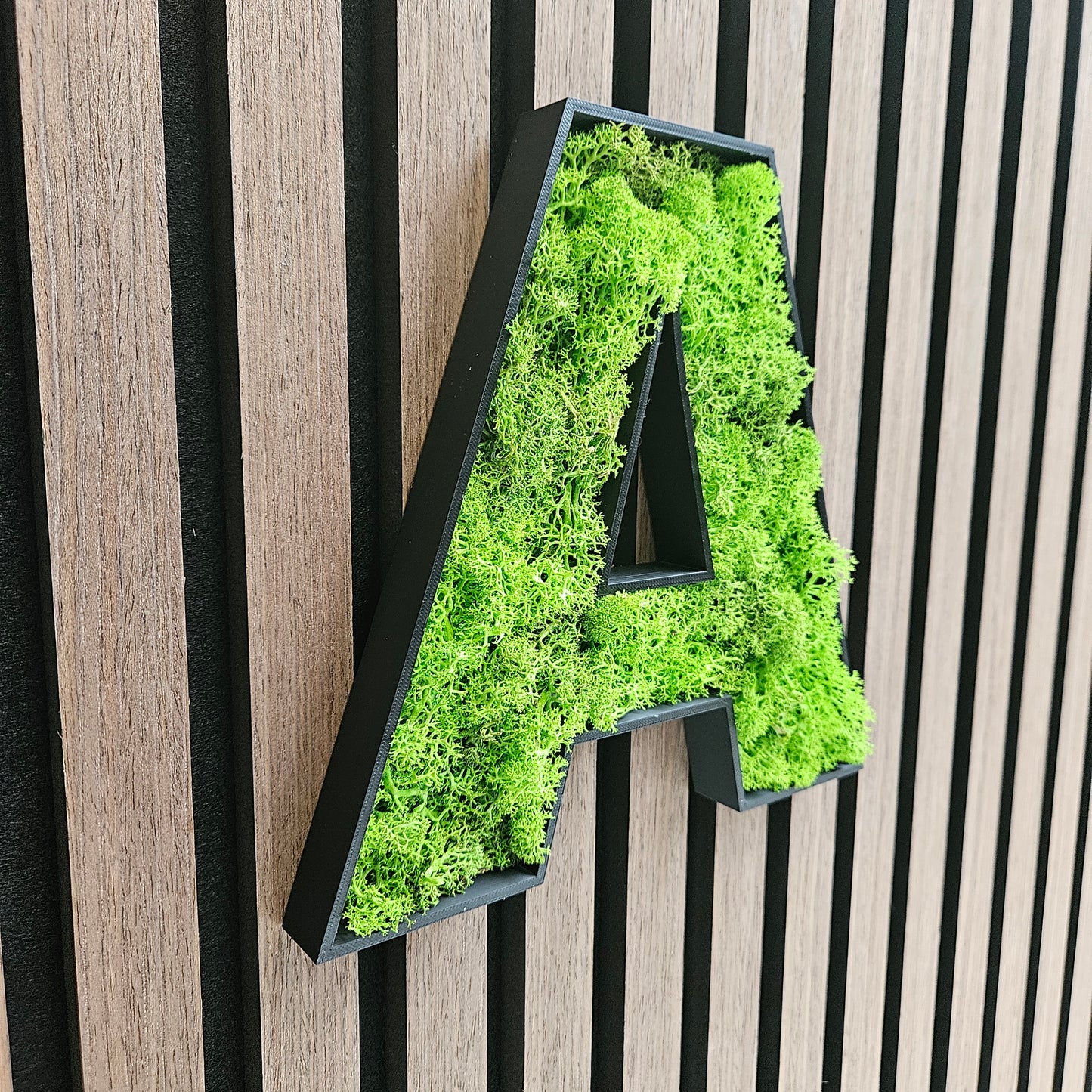 Moos Buchstabe A-Z Piktogramm Islandmoos