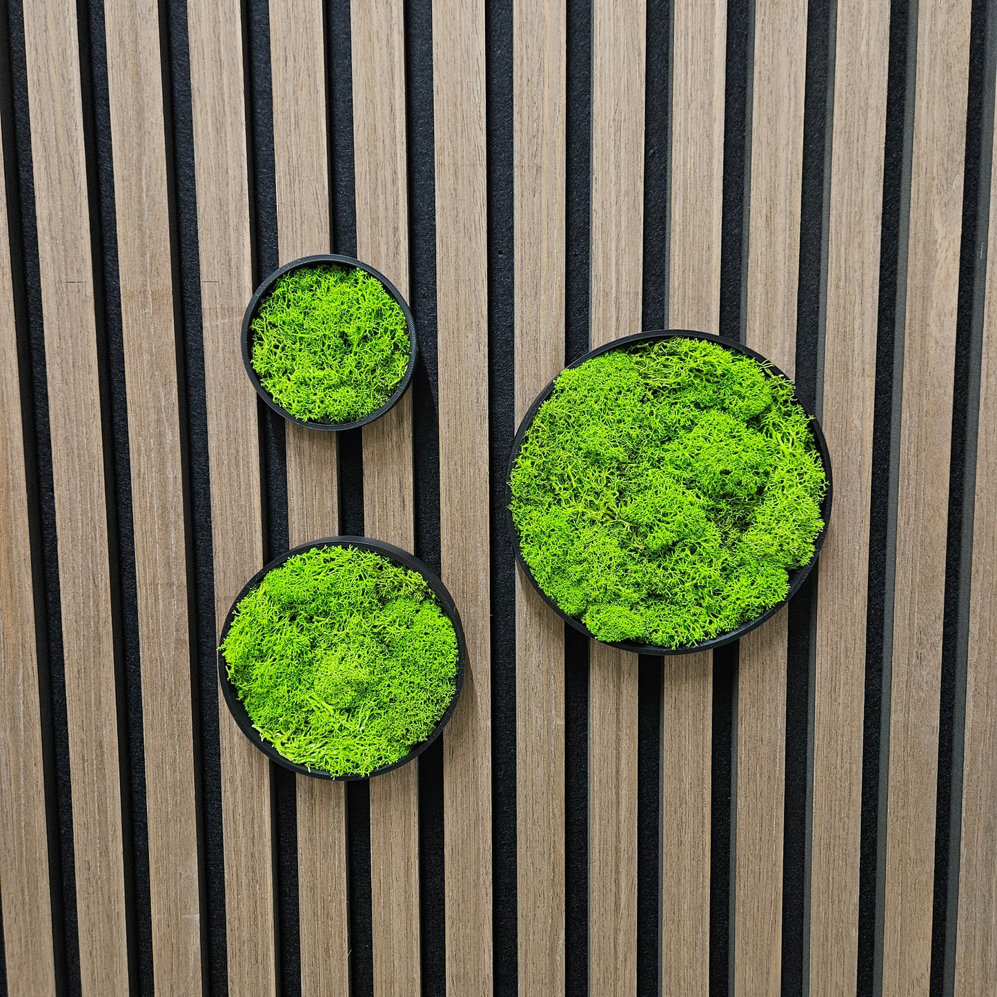 Moos Kreise Circle 3er Set Wanddekoration