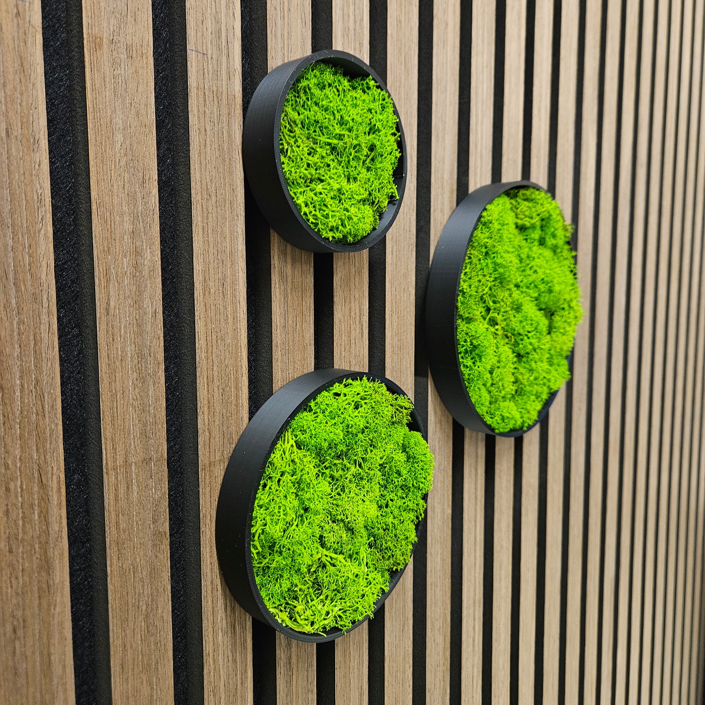 Moos Kreise Circle 3er Set Wanddekoration